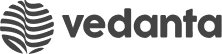 partner image